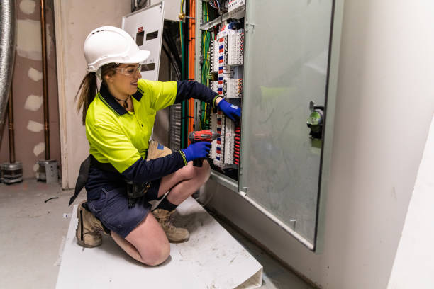 Best Electric Panel Repair  in Amery, WI